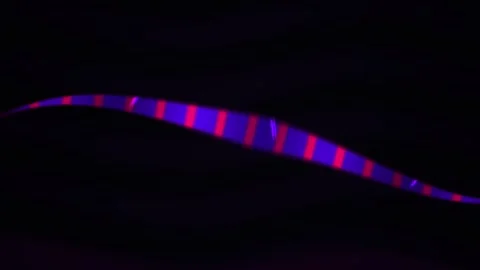 Neuronal network glowing fiber optics. Stock Footage 337516726