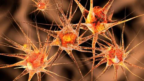 Neuronal network Illustrazione stock