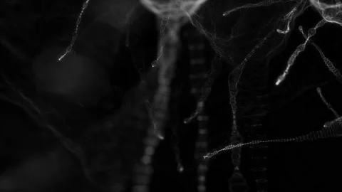 Neuronal network of neuron cells. Neuroscience and technology concept Stock Footage 169019991