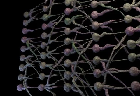 Neuronal Network. neuron net. 3D Illustration Stock Illustration