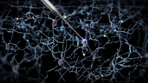 Neuronal stimulation Stock Footage 77481239