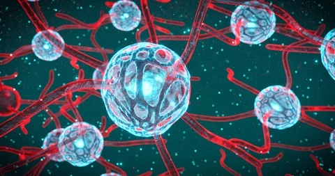 Neuronal Synapse Activity neurons exchanging information electrical impulses Stock Footage 112540739