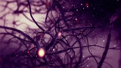 Neuronal Synapse Activity Zoom Real Animation inside the Human Brain Stock Footage