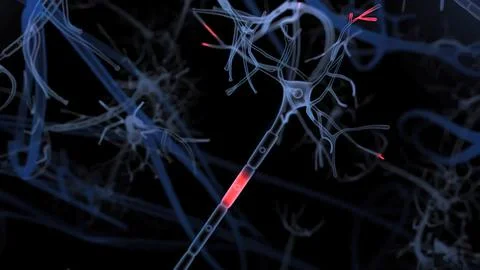 Neuronas and Synapse 3D rende Stock Illustration