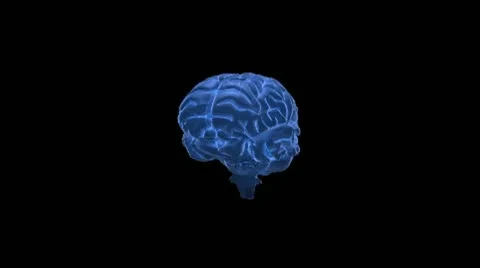 Neuron/Brain Concept 스톡 After Effects