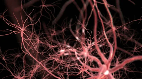 Neurone synapse network. Flight through brain. Stock Footage