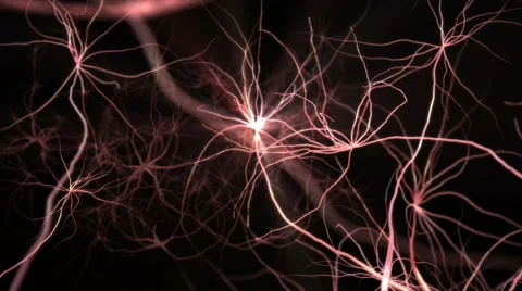 Neurone synapse network. Flight through brain. 3D animation. Stock Footage