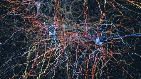 Neuronen oder Nervenzellen, die in einem neuronalen Netz verbunden sind - ... Stock Photos