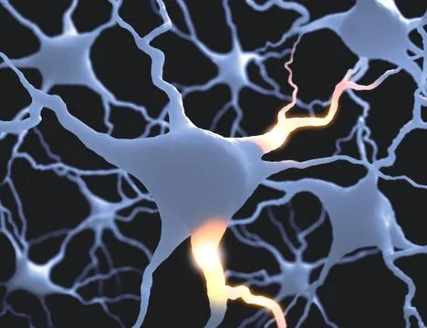 Neurones Stock Illustration