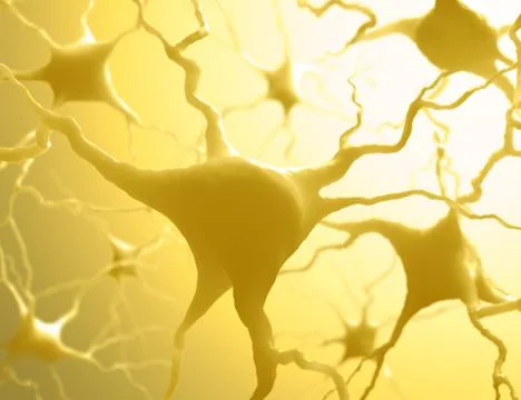 Neurones Stock Illustration