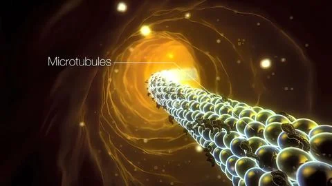 Neurons in action. electrical impulses between neuronal connections Stock-Illustration