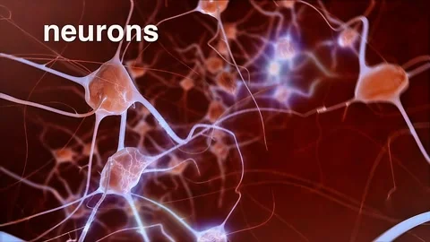 Neurons and nerve impulse Stock Footage 333203281
