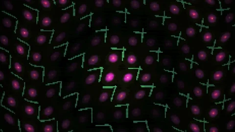Neurons and neural network connections. Stock Footage 334891931