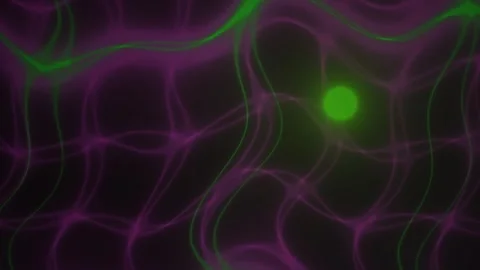 Neurons and neural network connections in brain. Stock Footage 337516904
