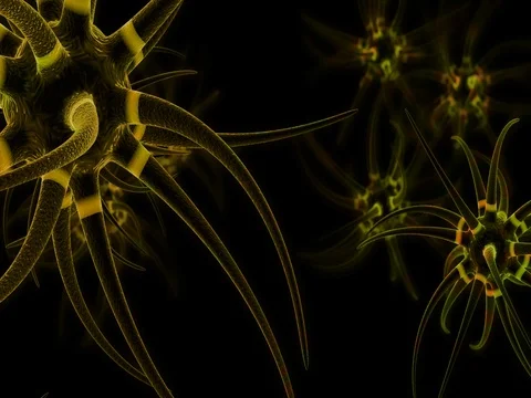 Neurons and the Synapse Stock Footage 77604802