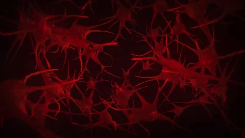 Neurons and Synapses Human Brain Concept Stock Footage 69934596