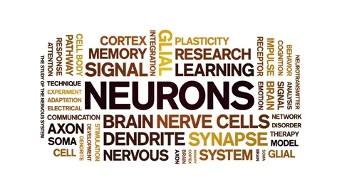 Neurons animated word cloud,animation tag kinetic typography seamless loop. Stock Footage 325055315