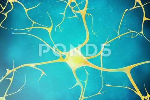 Neurons In The Beautiful Background. 3D Illustration Of A High Quality