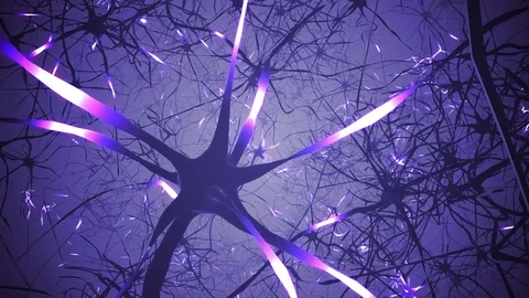 Neurons in brain. 3D looping animation of neural network. Stock Footage