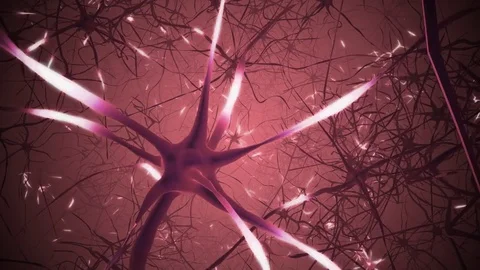 Neurons in brain. 3D looping animation of neural network. Stock Footage 82323816