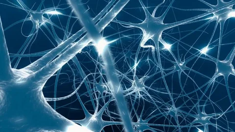 Neurons in brain. Loop. 3D animation of neural network. Stock Footage 75844231