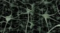 Neurons brain mind axon thought neural network dendrite cell health science 4k 4k or 4k+ Resolution