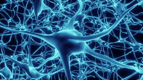 Brain Neurons Stock Video Footage for Free Download