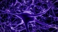 Neurons brain mind axon thought neural network hologram cell health science 4k 4k or 4k+ Resolution