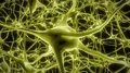 Neurons brain mind axon thought neural network hologram cell health science 4k 4k or 4k+ Resolution