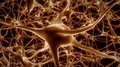 Neurons brain mind axon thought neural network hologram cell health science 4k 4k or 4k+ Resolution