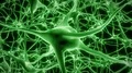 Neurons brain mind axon thought neural network hologram cell health science 4k 4k or 4k+ Resolution