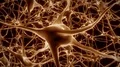 Neurons brain mind axon thought neural network hologram cell health science 4k 4k or 4k+ Resolution