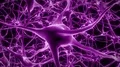 Neurons brain mind axon thought neural network hologram cell health science 4k 4k or 4k+ Resolution