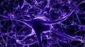 Neurons brain mind axon thought neural network hologram cell health science 4k 4k or 4k+ Resolution