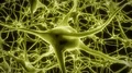 Neurons brain mind axon thought neural network hologram cell health science 4k 4k or 4k+ Resolution