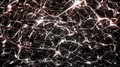 Neurons brain mind axon thought neural network hologram cell health science loop 4k or 4k+ Resolution