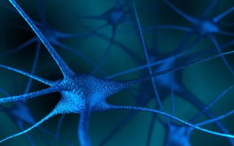 Neurons In The Brain. Multipolar neuron on dark background. 3D rendering. Illustrazione stock