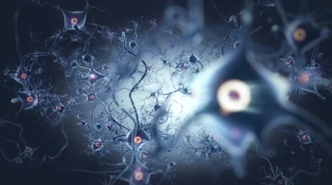 Neurons in brain with nerve cell and core Stock Footage