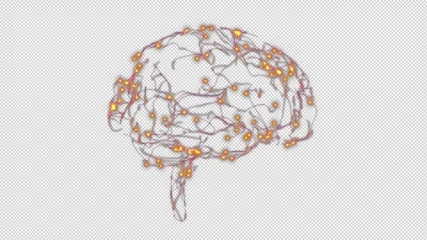 Neurons in a brain spinning in a 3D animation Stock Footage 238966251
