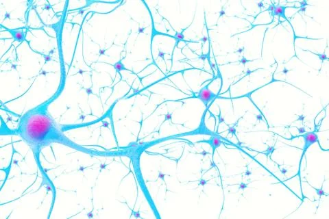 Neurons in the brain on white background with focus effect. 3d illustration Stock Illustration