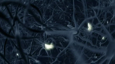 Neurons, brainstorm, LOOP Stock Footage 511957