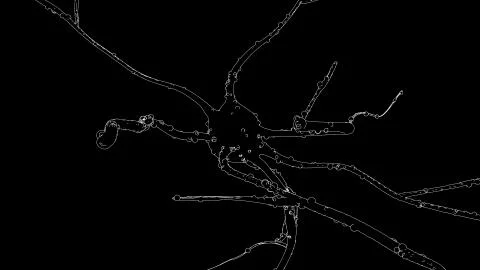 Neurons drawing Stock Illustration