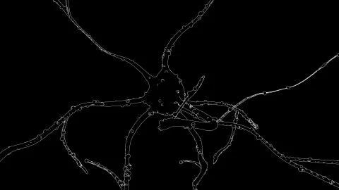 Neurons drawing Illustrazione stock