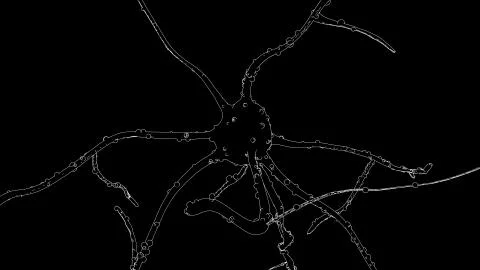 Neurons drawing Stock Illustration