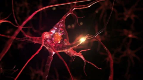 From neurons during synapsis to a 3D human head. Loopable. Dolly out. Stock Footage