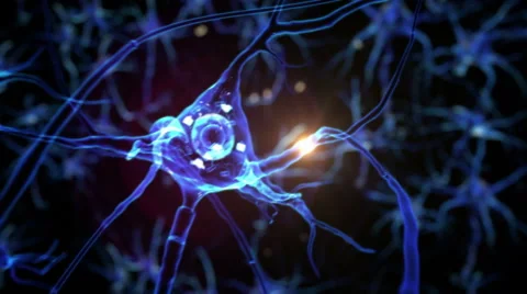 From neurons during synapsis to a human head. Loopable. Biology. Dolly out. Video stock 54858379