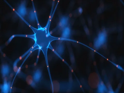 Neurons Electrical Pulses Stock Footage 73578726