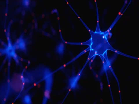 Neurons Electrical Pulses Stock Footage 74221996