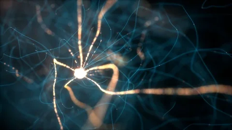 Neurons Electrical Pulses Stock Footage 87853739