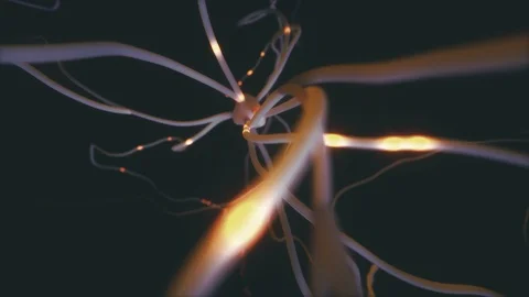 Neurons Electrical Pulses Stock Footage 88049616